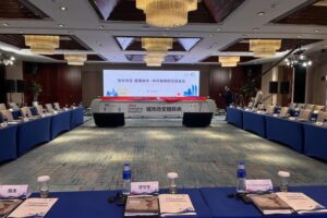 驱动改变 健康城市·中丹慢病防控圆桌会