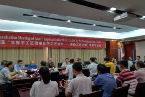 安溪“世界手工艺理事会手工艺城市——藤铁工艺之都”专家论证会(文化类泉州同传)