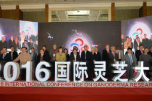 2016国际灵芝大会(农产品类福州同传)