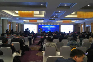 中荷半导体产业合作论坛（技术类厦门同传）