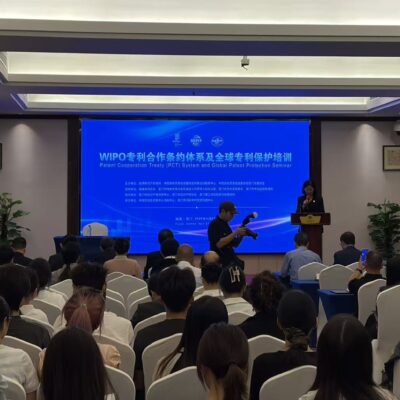 WIPO专利合作条约体系及全球专利保护培训